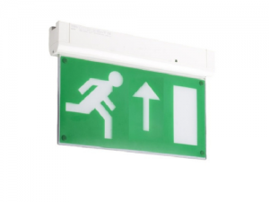 LED escape route lighting